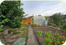 Garten 22