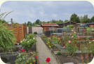 Garten 38